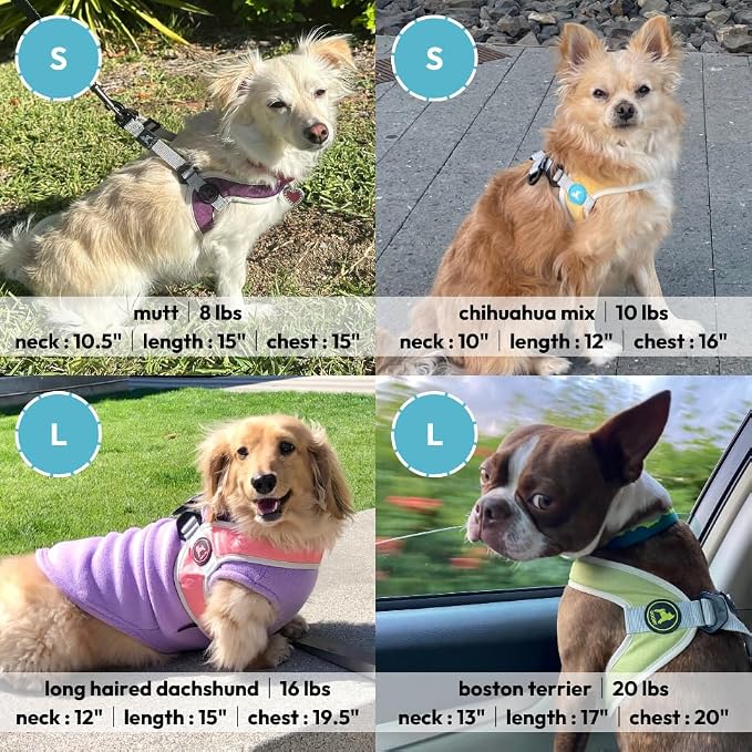 Gooby Simple Step-in III Dog Harness, Yellow, X-Small | Slide-to-fit chest strap; Breathable inner mesh; Scratch-resistant outer; Quick-release buckle; Durable POM leash ring - Image 4