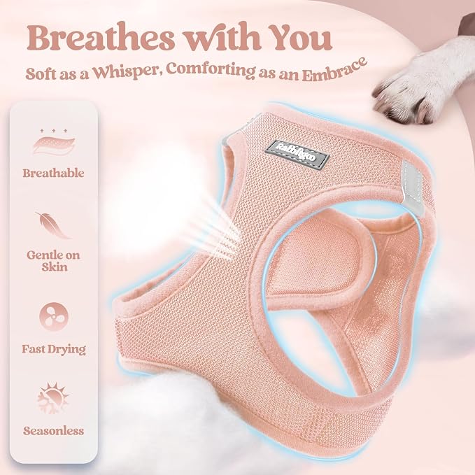 rabbitgoo Dog Harness Small Sized and Leash Set, Step-in Puppy Pet Vest | Light, Soft, Breathable Air Mesh, Easy on and Remove with Hook & Loop, Secure Reflective for Walking, Pink XXXS - Image 4