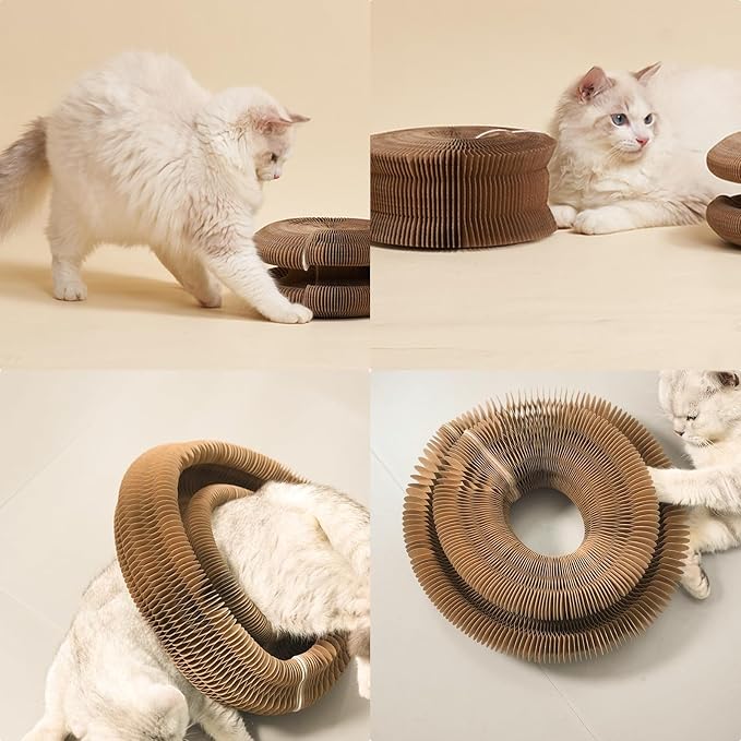 Magic Accordion Cat Scratching Board - Interactive Toy for Bored Indoor Cats, for Indoor catscat Toys for Scratching Fun & Durable Cat Toys 2Pack - Image 7