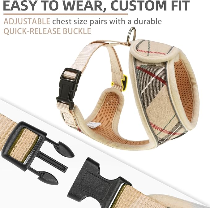 PUPTECK Small Dog Harness and Leash Set No Pull for XS XXS Sized Dogs Puppy | Escape Proof No Choke Pet Cat Adjustable Soft Padded Walking Vest - Image 4