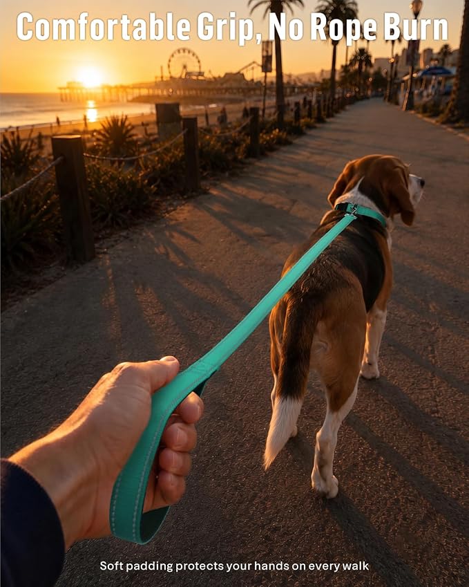 FunTags Reflective Nylon Dog Leash for Small & Medium Dogs, 4FT Training | Comfortable Padded Grip, Stay Safe at Night, 360° Anti-Tangle Swivel, for Dog Parks & Trails, Turquoise - Image 2