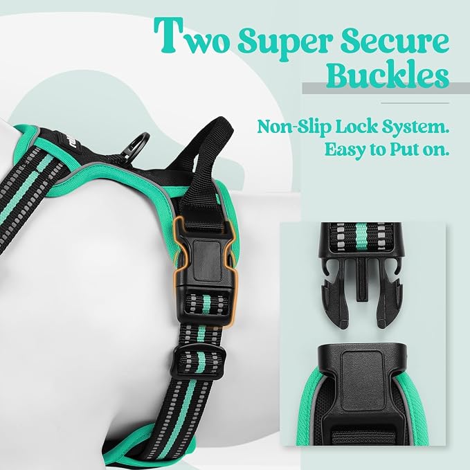 rabbitgoo Dog Harness, No Pull for Small Dogs with 2 Leash Clips, Pet Vest | No Choke with Handle, Adjustable Soft Padded, Reflective, Easy Control for Walking, Black & Turquoise, Small - Image 3