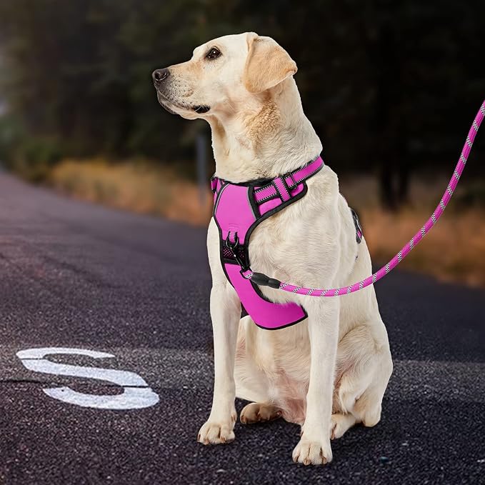 IVY&LANE No Pull Dog Harness for Medium Dogs,Dog Vest Harness with Leash,Safety Belt and Storage Strap, Fully Adjustable Harness,360° Reflective Strip,Soft Handle (Fuchsia Pink,M) - Image 6