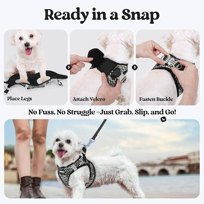 rabbitgoo Dog Harness Small Sized and Leash Set, Step-in Puppy Pet Vest | Light, Soft, Breathable Air Mesh, Easy on and Remove with Hook & Loop, Secure Reflective for Walking, Black Zigzag XXS - Image 8
