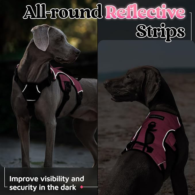 rabbitgoo Escape Proof Dog Harness for Medium, No Pull with Lift Handle | No Escape, Full Soft Padded, Reflective Adjustable Vest, Leash Clip for Walking Hiking Training, Pink, Medium - Image 8