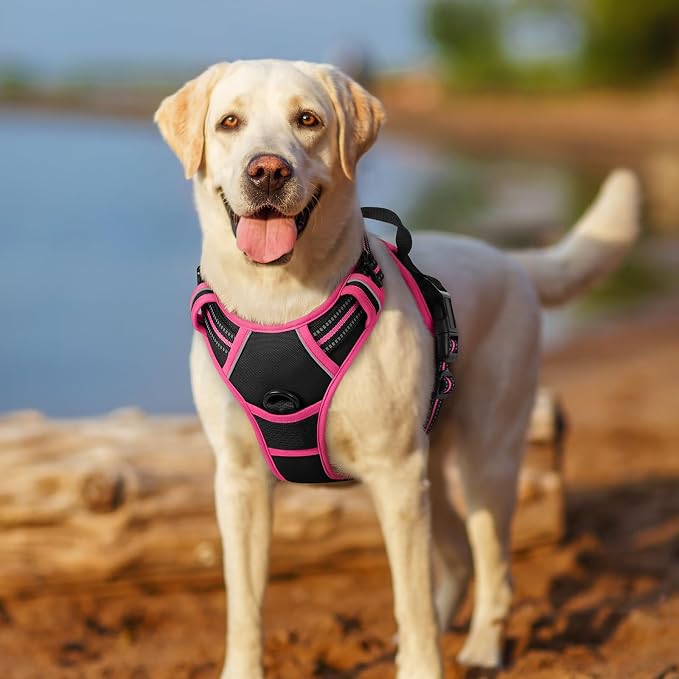 rabbitgoo Dog Harness, No Pull for Large Dogs with 2 Leash Clips, Pet Vest | No Choke with Handle, Adjustable Soft Padded, Reflective, Easy Control for Walking, Black & Hot Pink, X-Large - Image 7