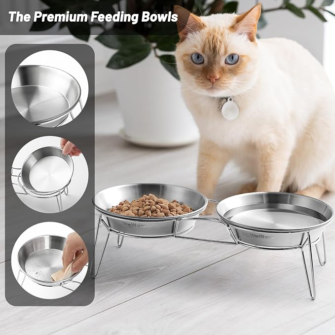 Elevated Cat Bowls, Wide Stainless Steel Cat Food Bowls with Metal Stand Whisker Stress-Free, Raised Food and Water Dish for Cats, Kitten, Puppies and Small Dogs - Image 3