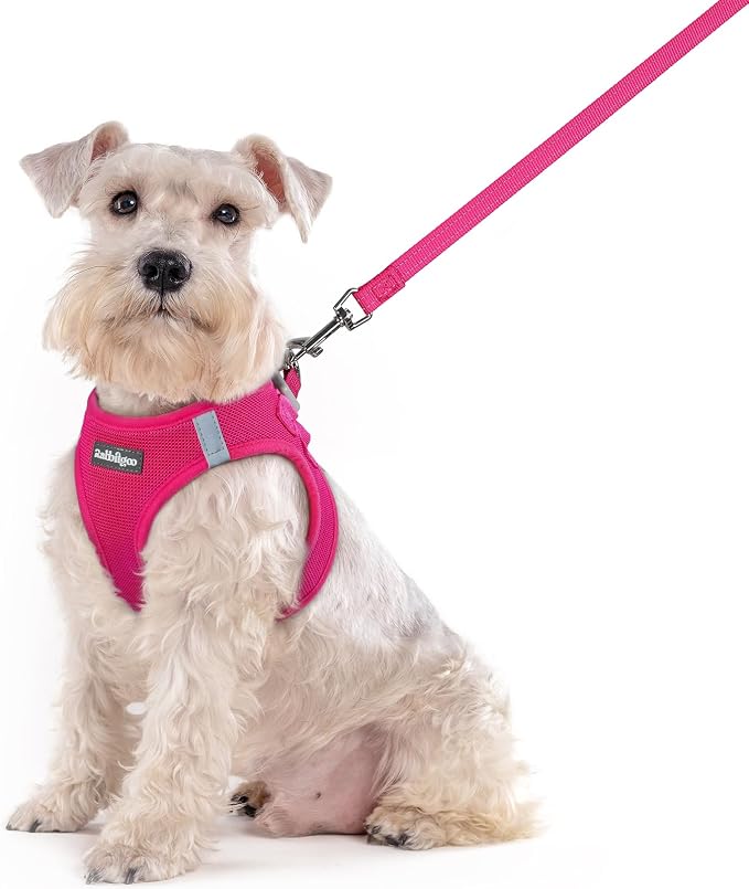 rabbitgoo Dog Harness Medium Sized and Leash Set, Step-in Puppy Pet Vest | Light, Soft, Breathable Air Mesh, Easy on and Remove with Hook & Loop, Secure Reflective for Walking, Rose Red XXL by rabbitgoo