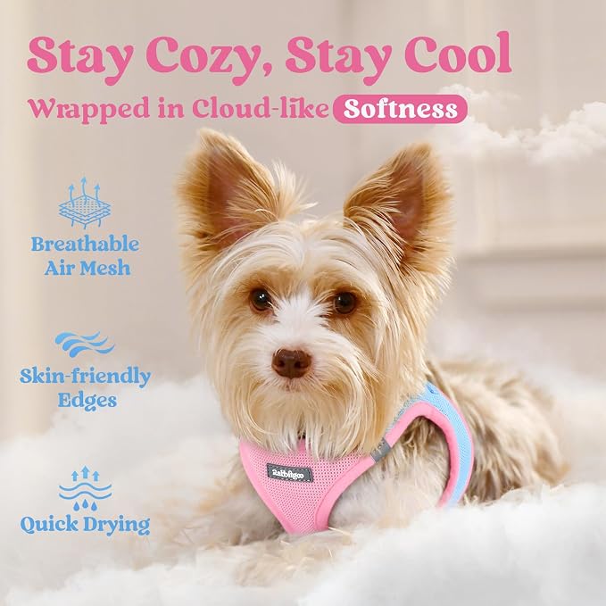 rabbitgoo Step-in Small Dog Harness, Puppy Vest for Medium Sized Pet | Easy Put on and off, Lightweight, Soft, Breathable Quick-Dry Air Mesh for Comfortable Secure Walking, Blue & Light Pink XXL - Image 3