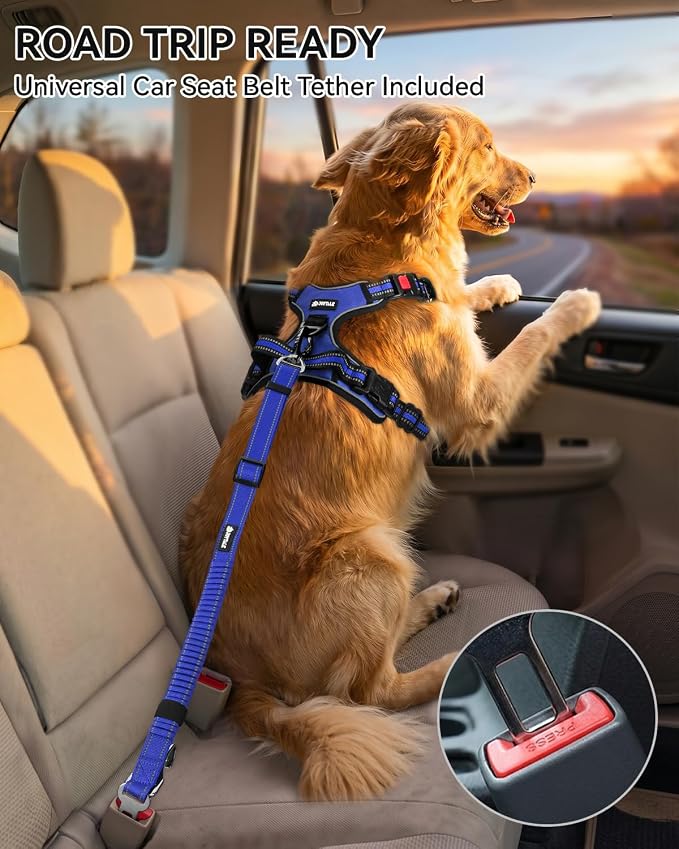 Joytale No Pull Dog Harness & Seat Belt, Easy On 3-Buckle, L, Navy Blue | Front Clip Reduces Pulling, Escape-Resistant Design, Adjustable Fit, Soft Padding for Comfort, Secure Tether for Safer Travel - Image 3