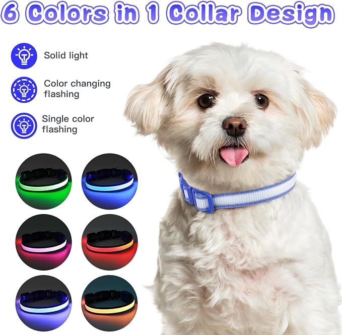 LED Light Up Dog Collar for Night Safety Walks, Blue, S | USB rechargeable, waterproof & pet-safe, 3 lighting modes, long-lasting glow, adjustable S/M/L, soft comfy daily walk fit - Image 2