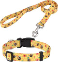 Mihqy Dog Collar and Leash Set, for Small Dogs, Bee Set,XS | with Fashion Patterns, Adjustable for Small Medium Large Dogs, Comfortable for Walks and Outdoor Hikes by Mihqy