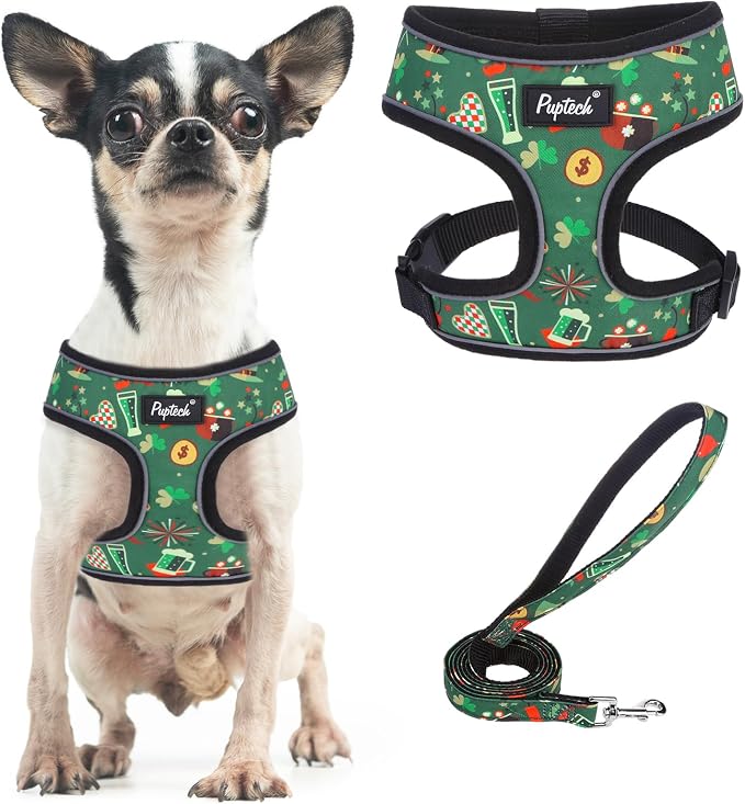 PUPTECK Small Dog Harness and Leash Set No Pull for XS XXS Sized Dogs Puppy | Escape Proof No Choke Pet Cat Adjustable Soft Padded Walking Vest by PUPTECK