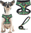 PUPTECK Small Dog Harness and Leash Set No Pull for XS XXS Sized Dogs Puppy | Escape Proof No Choke Pet Cat Adjustable Soft Padded Walking Vest by PUPTECK