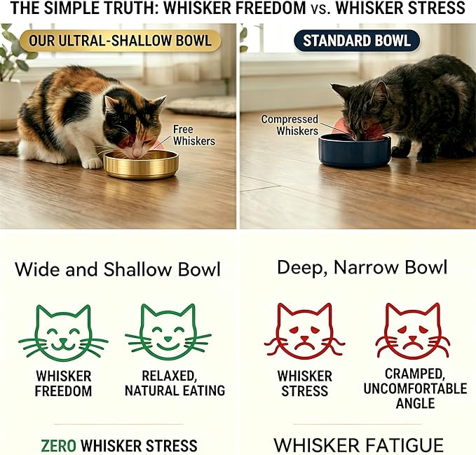 Whisker Fatigue Cat Bowl, Shallow Food Dish Stainless Steel for Cats, 2 Pcs | Wide Shallow Design Prevents Whisker Stress, Heavy Duty Metal Bowls for Indoor Cats and Small Dogs, Dishwasher Safe - Image 4