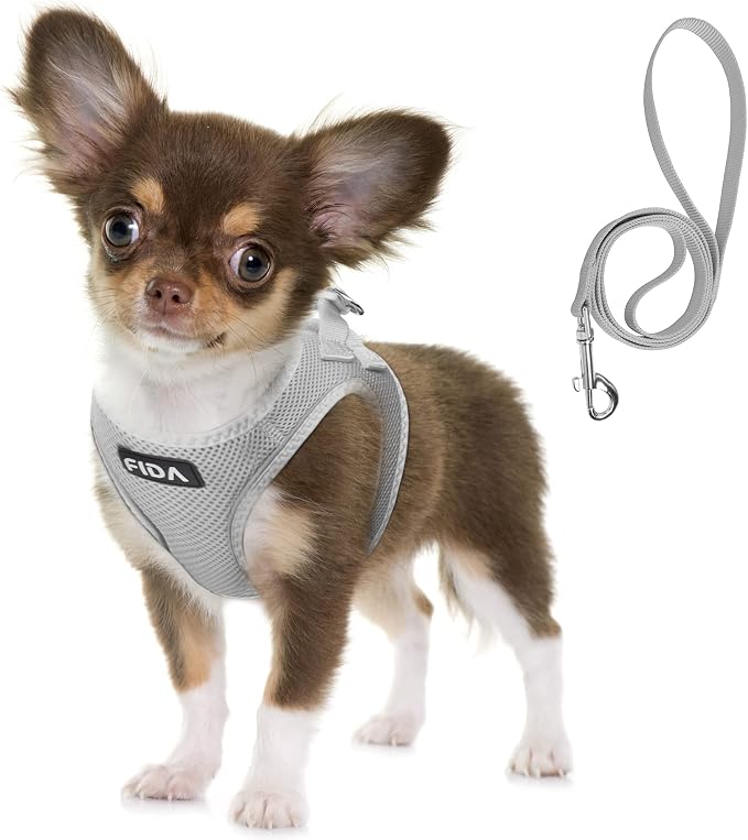 Fida Comfy Dog Harness with Leash, Soft Puppy Vest Escape Proof, Breathable Lightweight Soft Mesh, Adjustable Reflective Step-in Harness for Cat & Extra-Small Pet (XS, Grey) by Fida