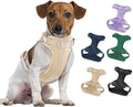 Wisedog Lightweight No Pull Dog Harness, Sand Color, Medium | Air Mesh, 3 Clips, Adjustable, No Choke Design, Ideal for Walking Training by WisedogPetSupplies