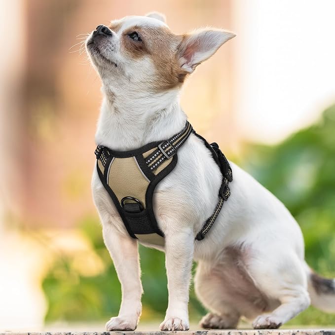 rabbitgoo Dog Harness No Pull with 2 Leash Clips, Adjustable Soft Padded, Reflective Oxford No Choke Pet Vest with Easy Control Handle for Puppy, Beige, XS | No Choke with Handle, Adjustable Soft Padded, Reflective, Easy Control for Walking, Beige, X-S... - Image 8