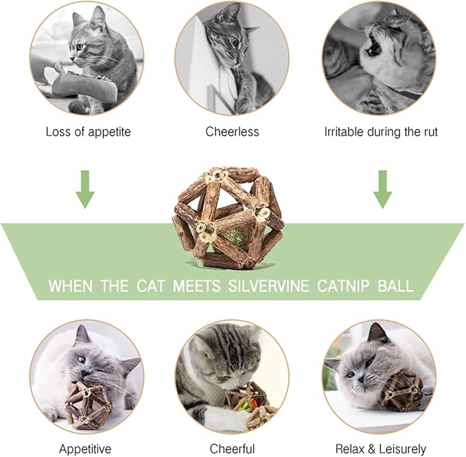 Gochanmon Catnip Toys-2Pcs Natural Silvervine Stick Catnip Ball&Bell Ball-Cat Toys for Indoor Cats- Cleaning Teeth Molar Tools Matatabi Cat Chew Toy-Kitten Toys All Breeds - Image 3