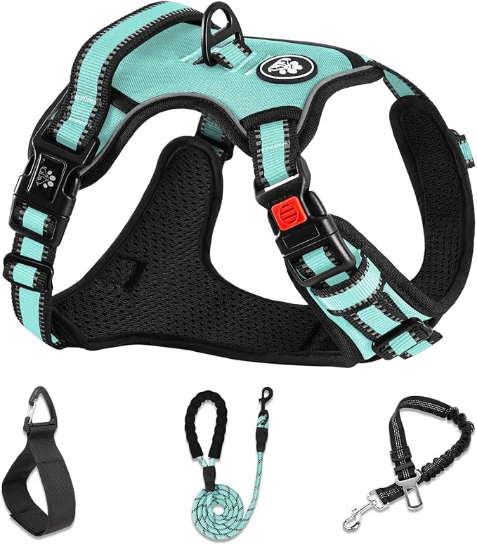 NESTROAD No Pull Dog Harness,Adjustable Oxford Dog Vest Harness with Leash,Reflective No-Choke Pet Harness with Easy Control Soft Handle for Small Dogs(Small,Turquoise) by NESTROAD