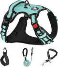 NESTROAD No Pull Dog Harness,Adjustable Oxford Dog Vest Harness with Leash,Reflective No-Choke Pet Harness with Easy Control Soft Handle for Small Dogs(Small,Turquoise) by NESTROAD