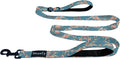 ShawnCo Dream Walk Dog Leash (Freckle's Garden,M/L 6FT w/ 2 Handles) | Soft Neoprene Handle, Premium, Durable, Nylon Pet Leash for Small, Medium and Large Dogs, For Everyday Walks and Training by SHAWNCO