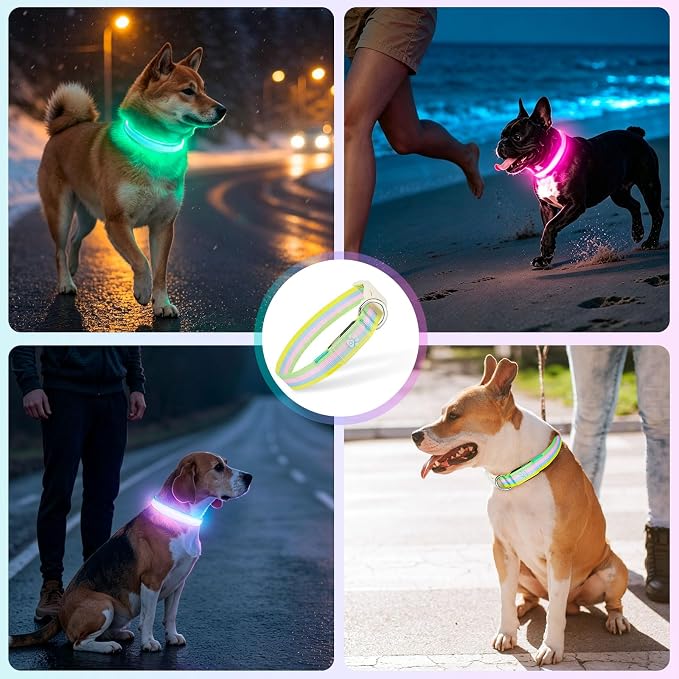 Light Up Dog Collar, Rechargeable LED Dog Collar, Color Changing Dog Collar for Night Walking, Adjustable Lighted Dog Collar for Small Medium Large Dogs, Multicolor Stripe, USB Rechargeable (M) - Image 3