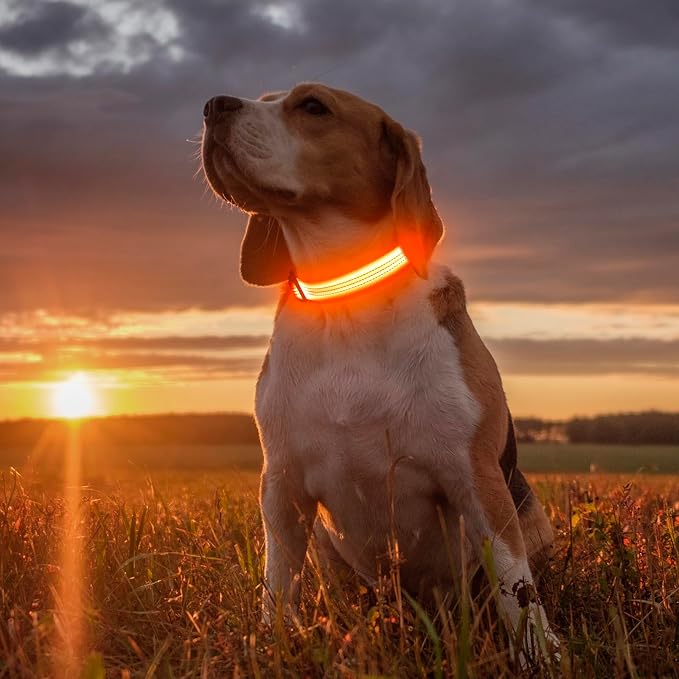Illumifun LED Dog Collar USB Rechargeable Light Up Dog Collar, Reflective Pet Safety Collar Light Glow in the Dark (OrangeⅢ, Medium) - Image 5