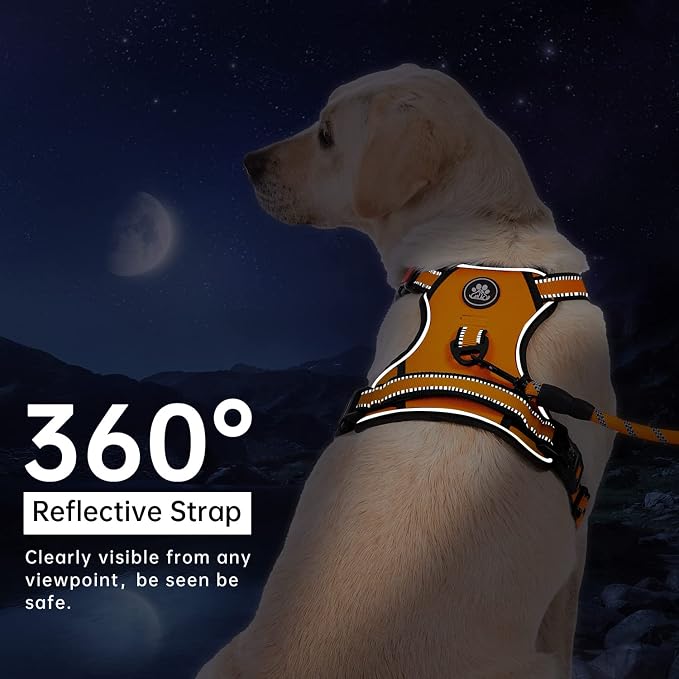 IVY&LANE No Pull Dog Harness for Large Dogs, Dog Vest Harness with Leash, Safety Belt and Storage Strap, Fully Adjustable Harness, 360° Reflective Strip, Soft Handle (Orange, L) - Image 6