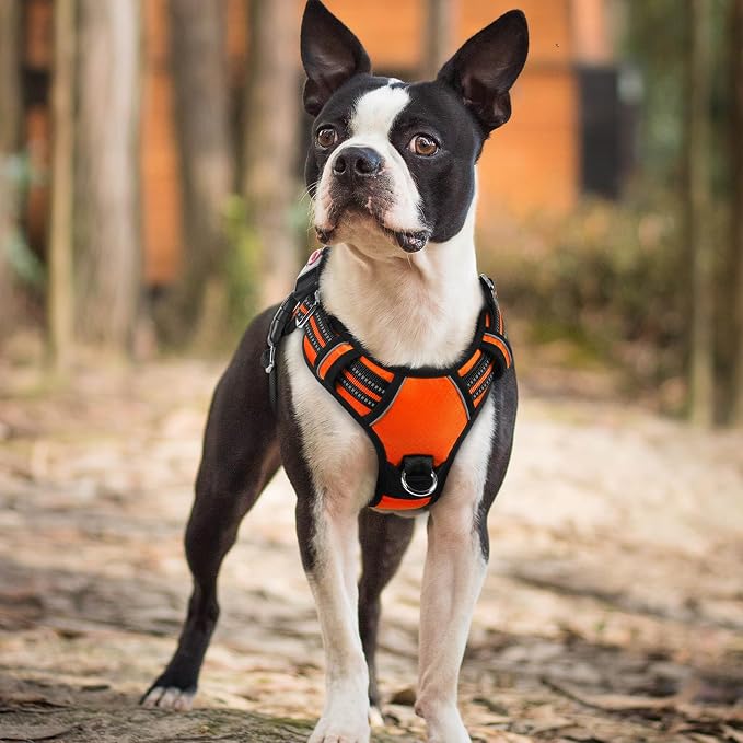 rabbitgoo Dog Harness Small Sized, No Pull 3 Buckles Easy On & Off | Soft Padded, Walking with Control Handle, Adjustable and Reflective, Orange, Small - Image 8