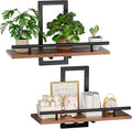 Sbosbo Floating Shelves for Wall Plant Shelf Indoor Wall Mounted Shelves | Wall Planters for Indoor Floating Plant Shelves for Bedroom, Living Room, Kitchen, Office, Bathroom Decor (2 Pack) by SBOSBO