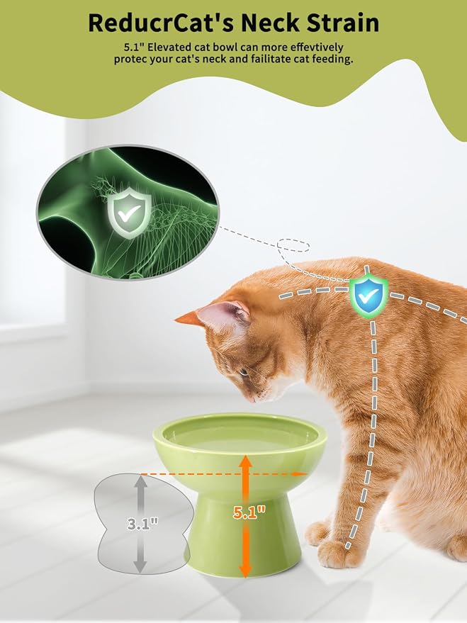 LoeJan Elevated Food and Water Bowls Set, Extra Wide and Raised Ceramic Feeder, Anti-Vomit Whisker-Free Pressure Cat Bowl for Kittens to Adult Cats, Small Dogs (Green, Water Bowl) - Image 3
