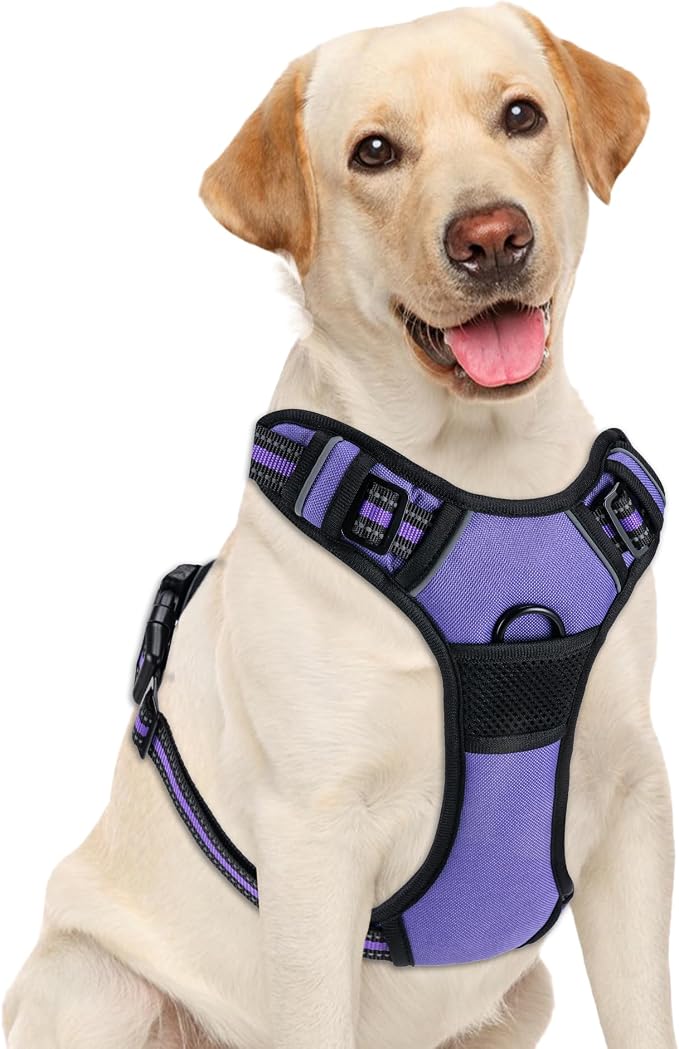 No Pull Dog Harness, Adjustable Reflective Front Clip Pet Vest with Easy Control Handle for Medium Large Dogs (Purple,L) by Unknown