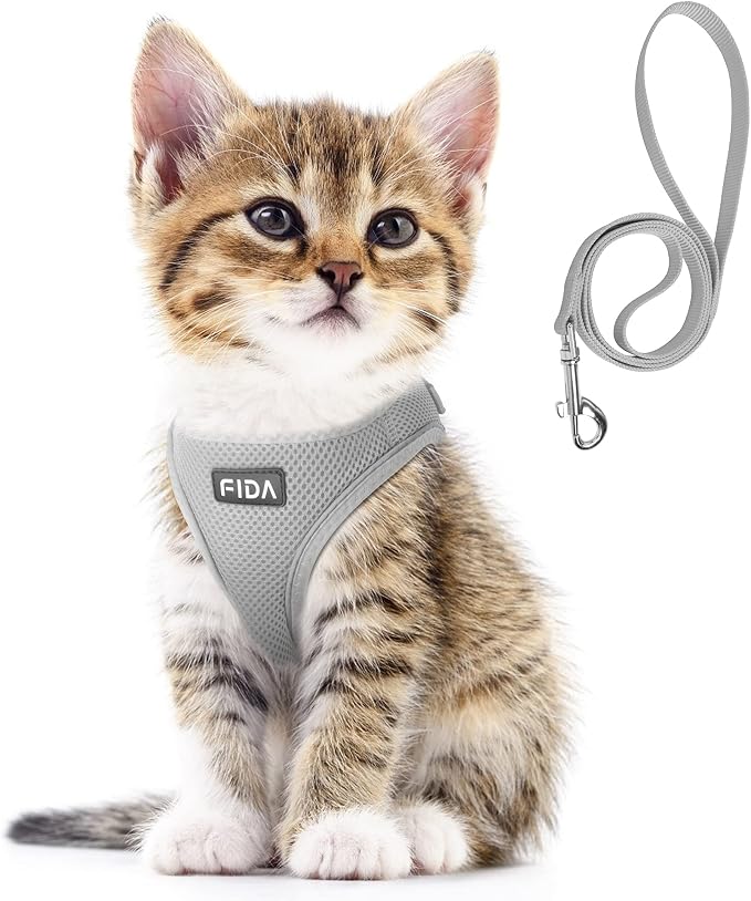 Fida Comfy Dog Harness with Leash, Cat Vest Harness Escape Proof, Breathable Lightweight Soft Mesh, Adjustable Reflective Step-in Harness for Puppy Toy Breeds & Extra-Small Pet (XXS, Grey) by Fida