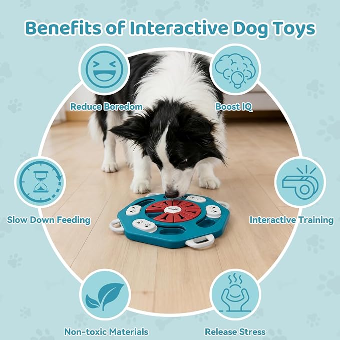 Dog Puzzle Toy for Smart Dogs, Interactive Dog Enrichment Toys,Level2(Blue) | For Small, Medium Dogs and Cats, Treat Dispensing, Mental Stimulation, to Keep Them Busy, Slow Feeder, IQ Training, Anti-slip - Image 6