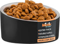 Master Pet Supply Stainless Steel Slanted Dog Cat Food Bowl 8 oz Black | Heavy Duty Double Wall Insulated Non-Slip Elevated Bowl for French Bulldogs Pugs Cats Anti Rust Dishwasher Safe, Black Velvet by MasterPetSupply