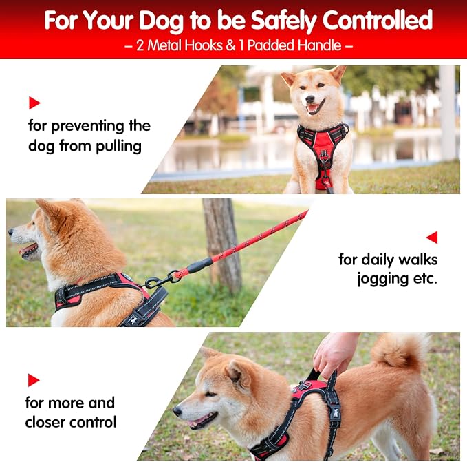 PoyPet Dog Harness and Leash Set, No Pull Vest with Front Clip and Handle | Escape Proof, Reflective, 3 Buckles, 2 D-rings, Adjustable, Soft Padded, 5 Feet Leash, for Walking Training, Red, S - Image 3