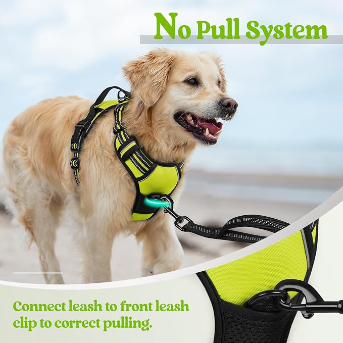 rabbitgoo Dog Harness, No Pull Medium Sized with 2 Leash Clips, Pet Vest | No Choke with Handle, Adjustable Soft Padded, Reflective, Easy Control for Walking, Wild Lime, Medium - Image 5