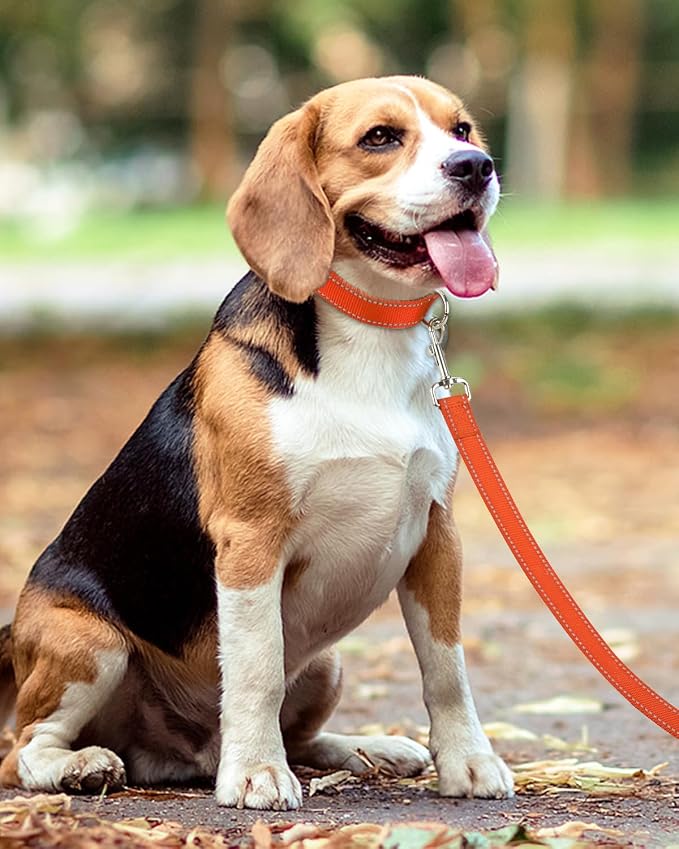 Taglory Reflective Dog Leash for Small Dogs, 3/4in x 6ft, Orange | Ideal for Night Walking, Strong for Sudden Pulls, Lightweight & Gentle on the Neck, Soft Padded Handle - Image 6