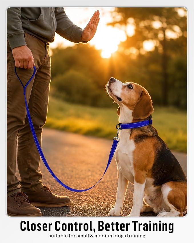 FunTags Reflective Nylon Dog Leash for Small & Medium Dogs, 4FT Training | Comfortable Padded Grip, Stay Safe at Night, 360° Anti-Tangle Swivel, for Dog Parks & Trails, Royal Blue - Image 5
