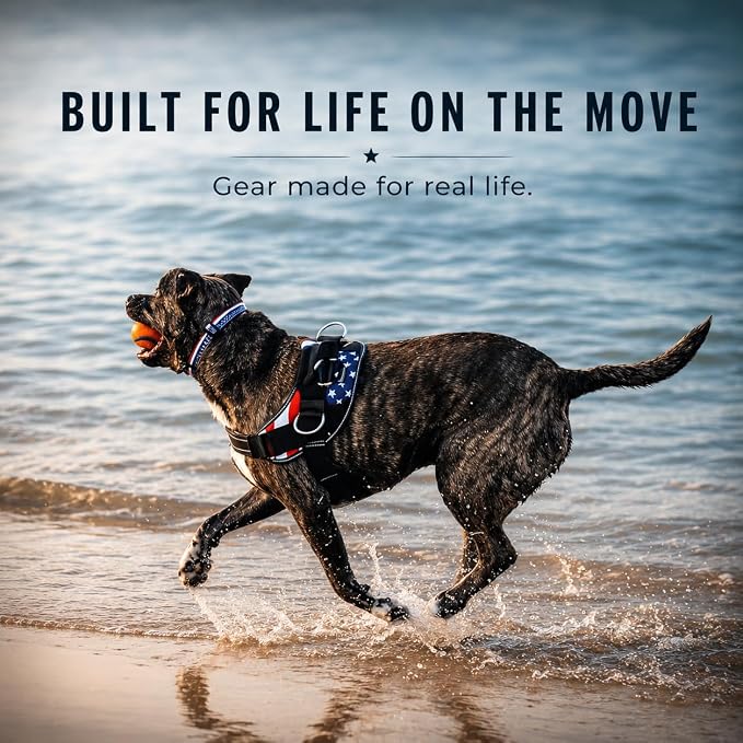 ShawnCo Essential Dog Harness, No-Pull Pet Vest (ICY Lilac,XL) | 3 Leash Clips, Easy On, No-Choke, Reflective, Adjustable Fit, Padded Comfort, Control Handle, For Small, Medium & Large Dogs - Image 9