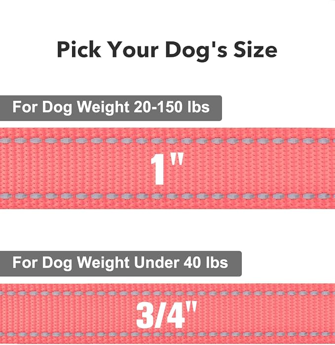 Taglory Reflective Dog Leash for Small Dogs, 3/4in x 5ft, Pink | Ideal for Night Walking, Strong for Sudden Pulls, Lightweight & Gentle on the Neck, Soft Padded Handle - Image 4