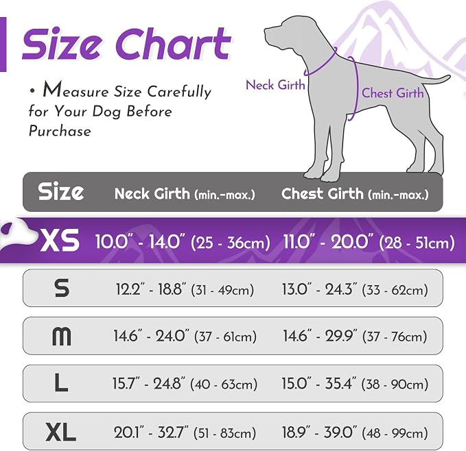 Eagloo Dog Harness for Small Dogs, No Pull Pet Vest with 2 Leash Clips | No Choke with Handle, Adjustable Comfort Fit, Reflective Strips, Easy Walking Control, Purple, X-Small - Image 2