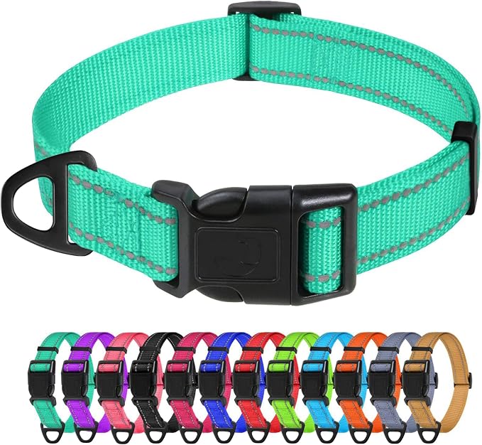 TagME Small Dog Collar, Reflective Puppy Collar, Turquoise, 5/8" Width | Lightweight, Nylon Collar for Puppies and Small Dogs, Adjustable Length, 12 Color Choices, Reflective for Evening Walks by TagME