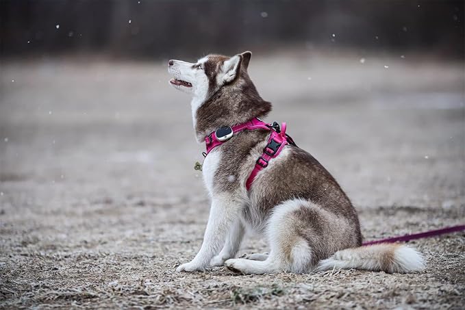TRUE LOVE Adjustable No-Pull Dog Harness Reflective Pup Vest Harnesses Comfortable Control Brilliant Colors TLH5651(Fushcia,S) - Image 6