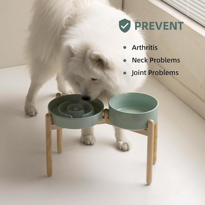 Havniva Elevated Slow Feeder Dog Bowls, Ceramic Dog Bowl Slow Feeder Set | 3.2 Cups Raised Slow Feeder Dog Bowl for Large Breed, 8.2” Dog Water Bowl with Wooden Stand, Puzzle Dog Food Bowl, Non-slip - Image 6