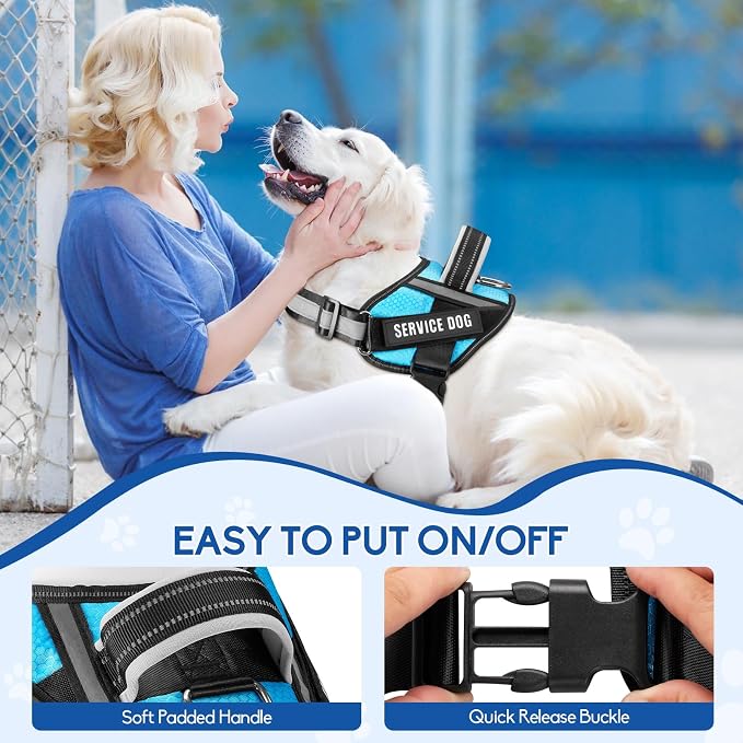 Service Dog Vest Harness and Leash Set, Animire in Training Dog Harness with 10 Dog Patches, Reflective Dog Leash with Soft Padded Handle for Dogs (Light Blue,Xs) - Image 3