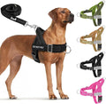 Lukovee No Pull Dog Harness and Leash Set, Soft Padded Vest with Front Clip | Adjustable, No Choke, Reflective,Durable Easy Control Pet Vest Harness for Safe Walking for Medium Large Dogs (Black, XL) by Lukovee