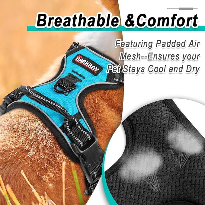 BARKBAY Dog Harness for Small Sized Dog No Pull 2 Leash Clips Dog Vest | Control Handle,Comfort,Heavy Duty,Adjustable Reflective,Perfect for Outdoor Training, Walking,Hiking(XS,Blue) - Image 8