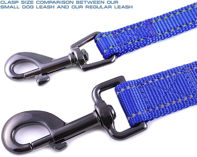 Max and Neo Small Dog Reflective Nylon Leash - Every Purchase Donates One, 4x5/8" (Blue) - Image 2